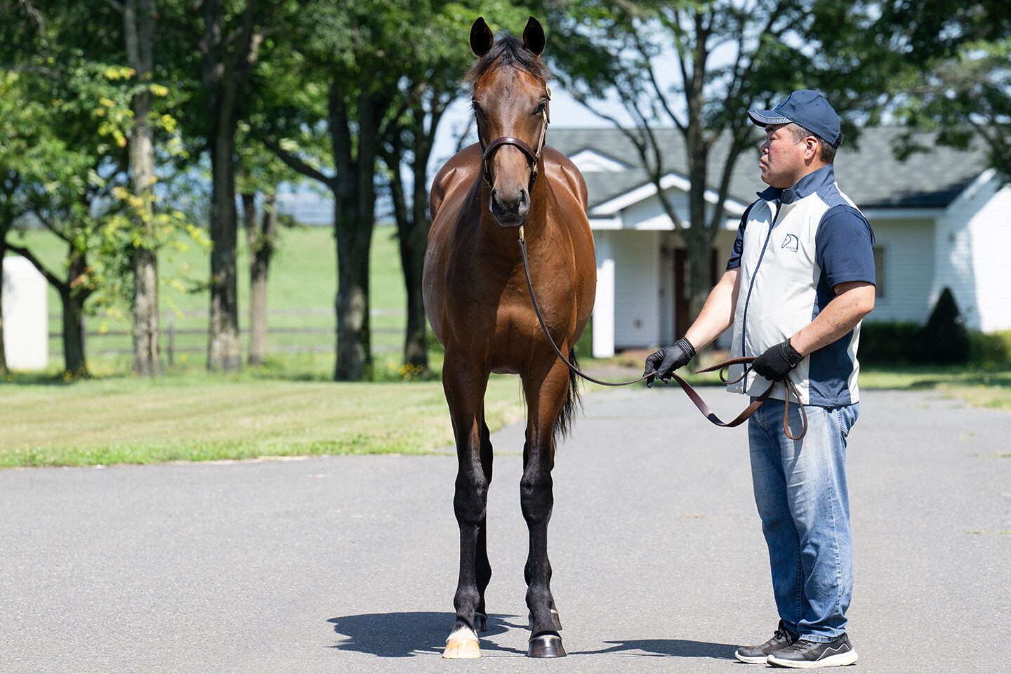 シェーングランツ2024 馬体フォト 2025/07/23