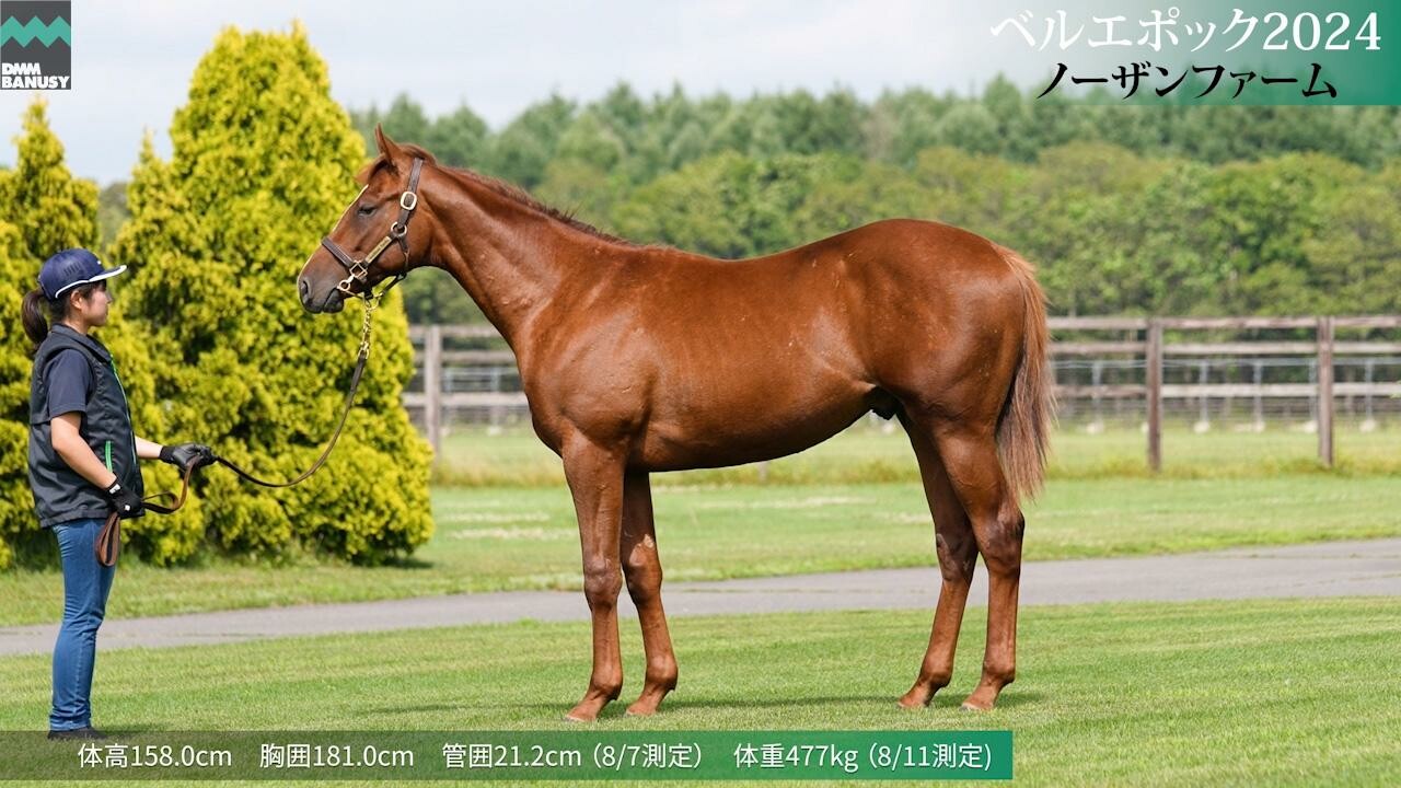 ベルエポック2024 2025/7/21撮影