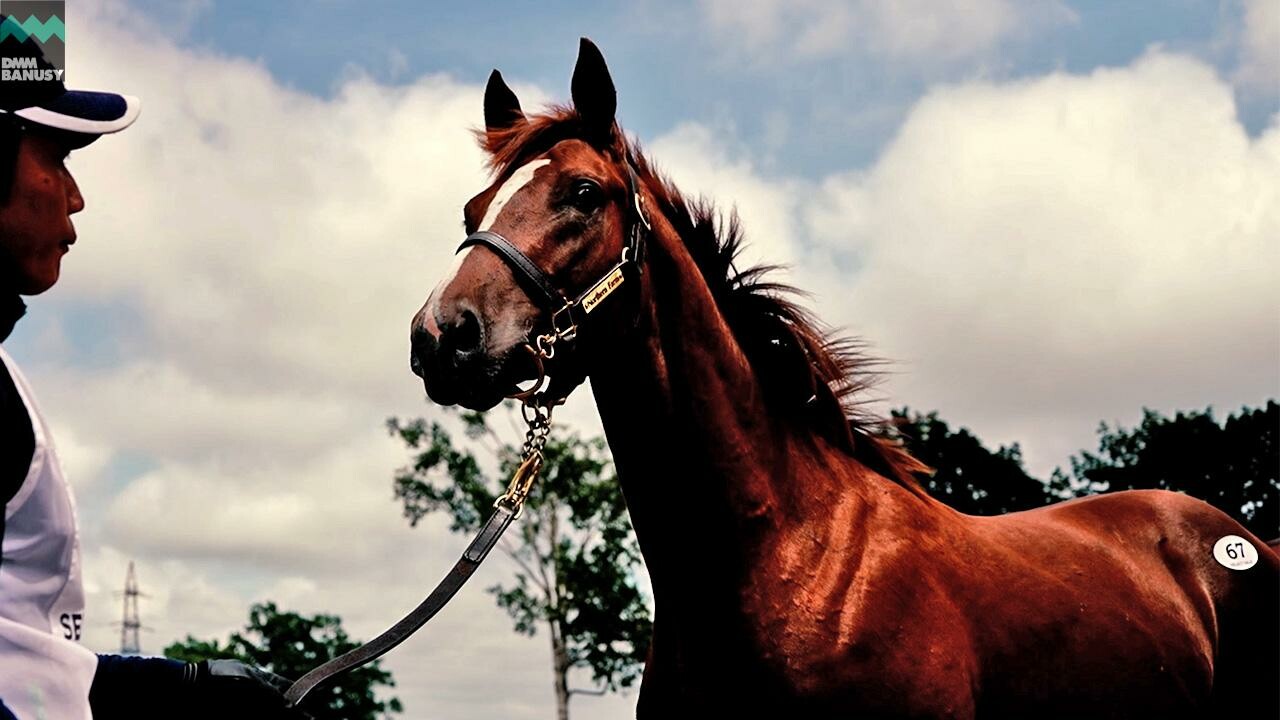 ベルエポック2024 PV2025