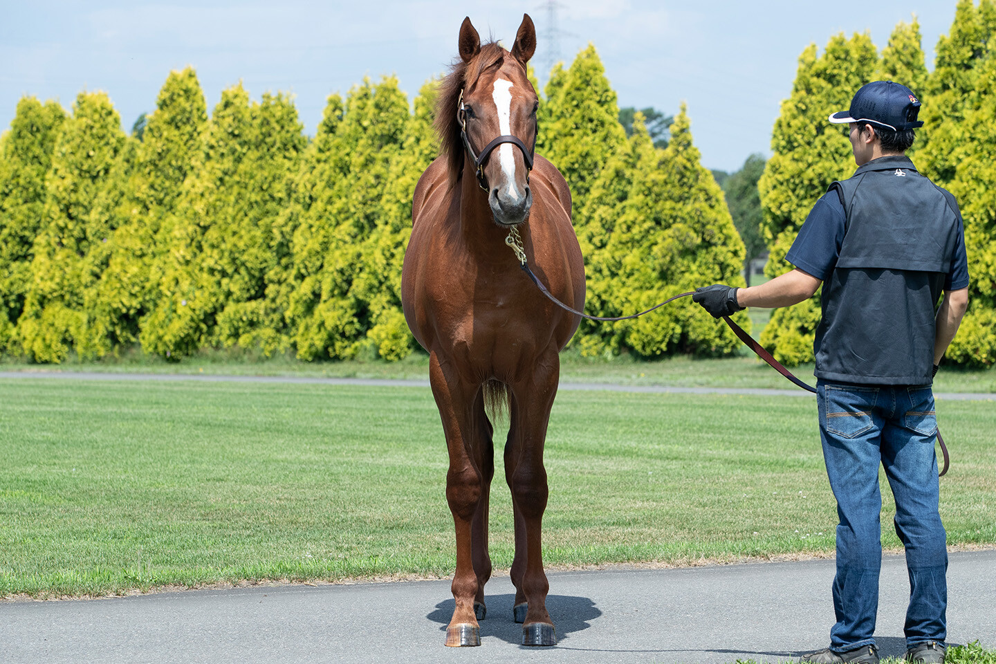 ベルエポック2024 馬体フォト 2025/07/23