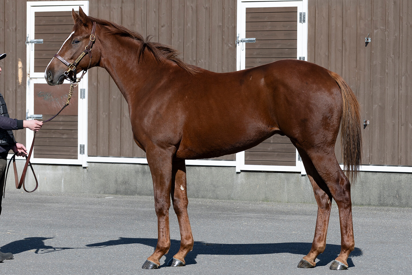 ベルエポック2024 写真