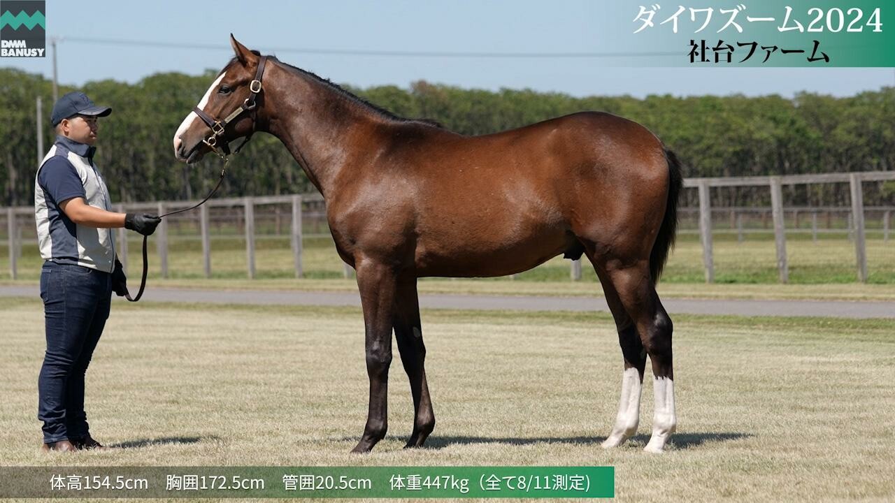 ダイワズーム2024 2025/7/24撮影