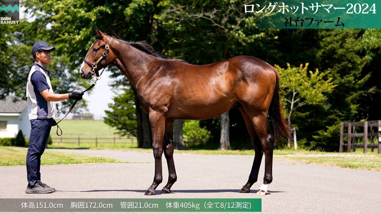 ロングホットサマー2024 2025/7/22撮影