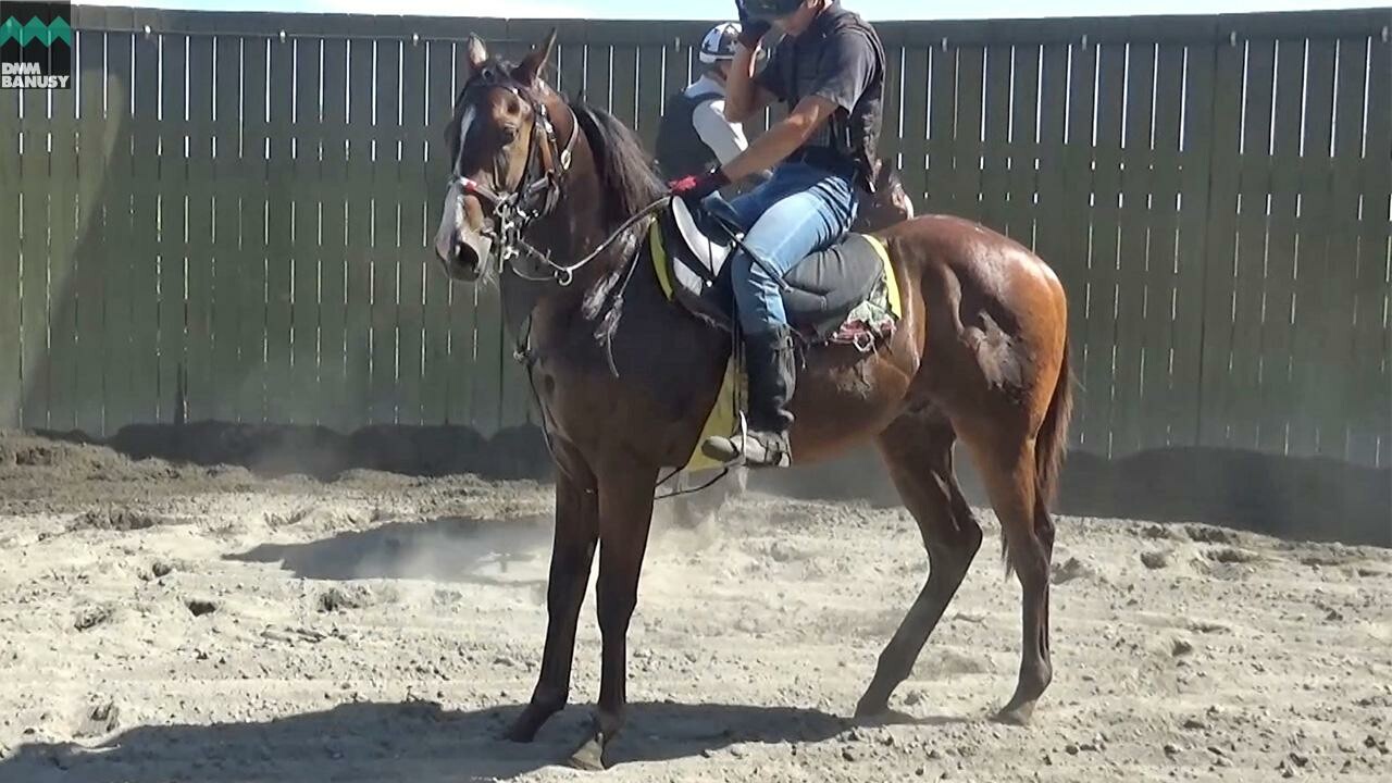 ロングホットサマー2024 PV2025