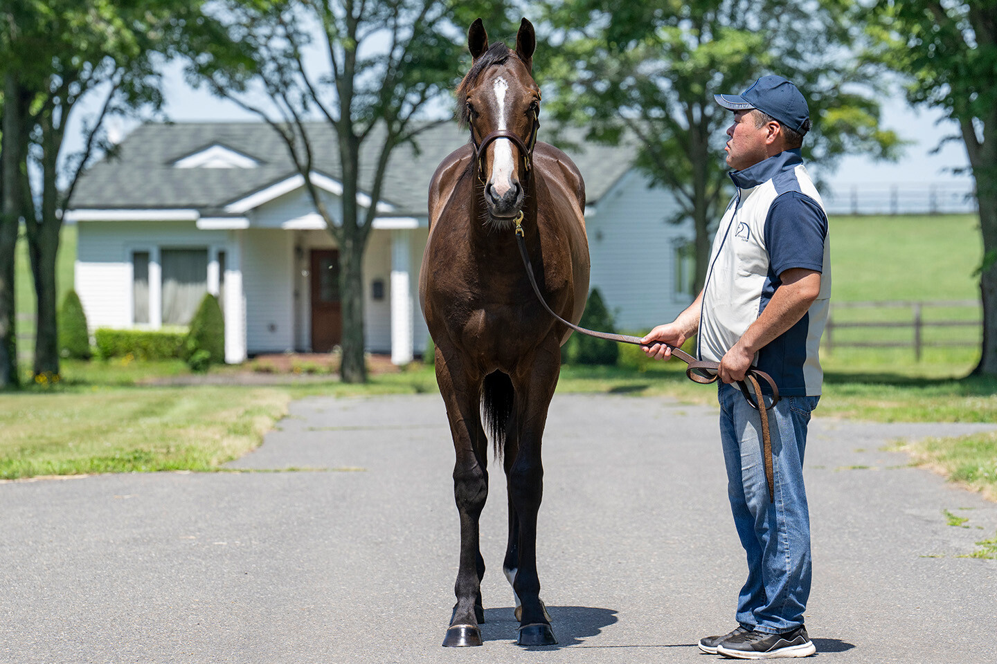 ロングホットサマー2024 馬体フォト 2025/07/17
