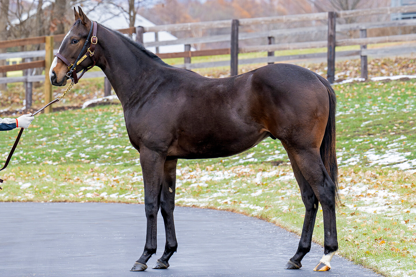 ロングホットサマー2024 写真