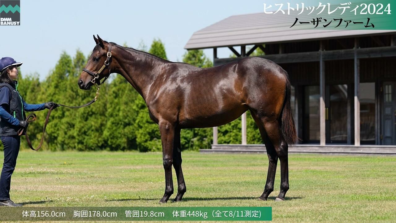 ヒストリックレディ2024 2025/7/24撮影