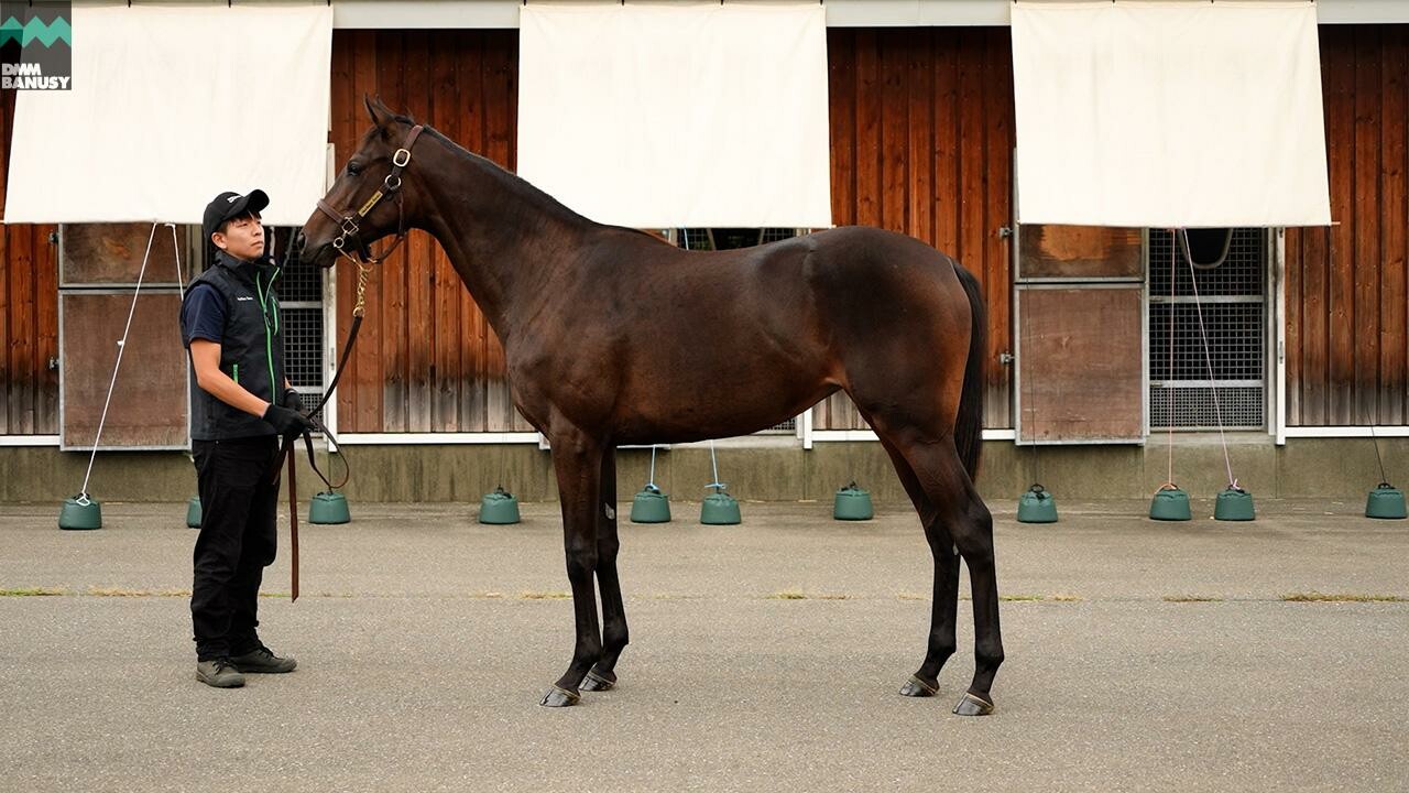 ヒストリックレディ2024 2025/9/9撮影：ノーザンファーム現地視察