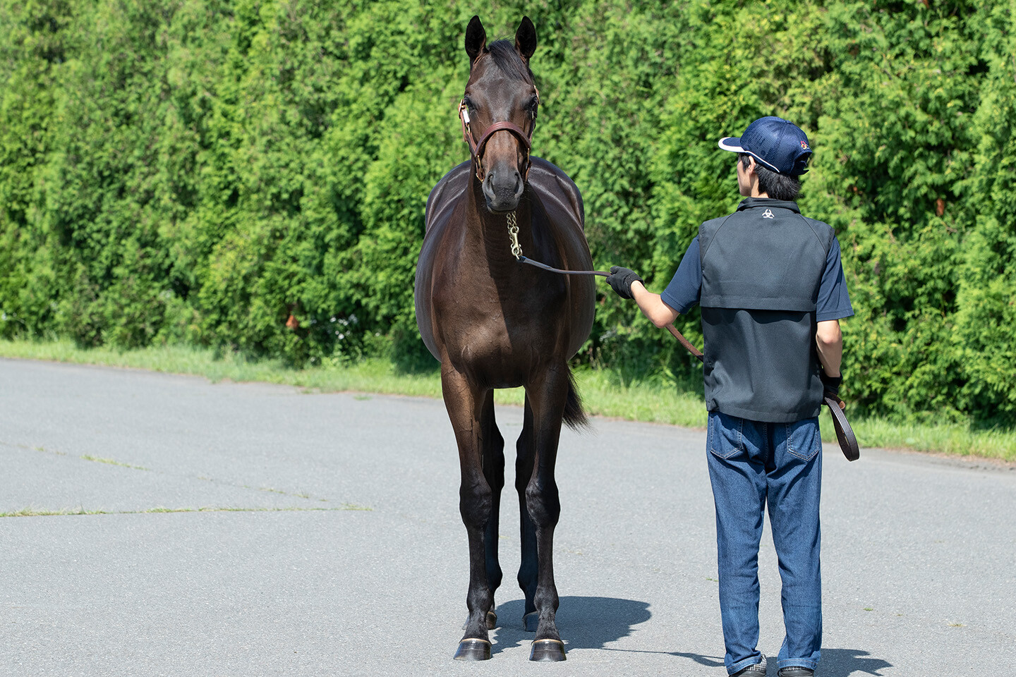 ヒストリックレディ2024 馬体フォト 2025/07/23