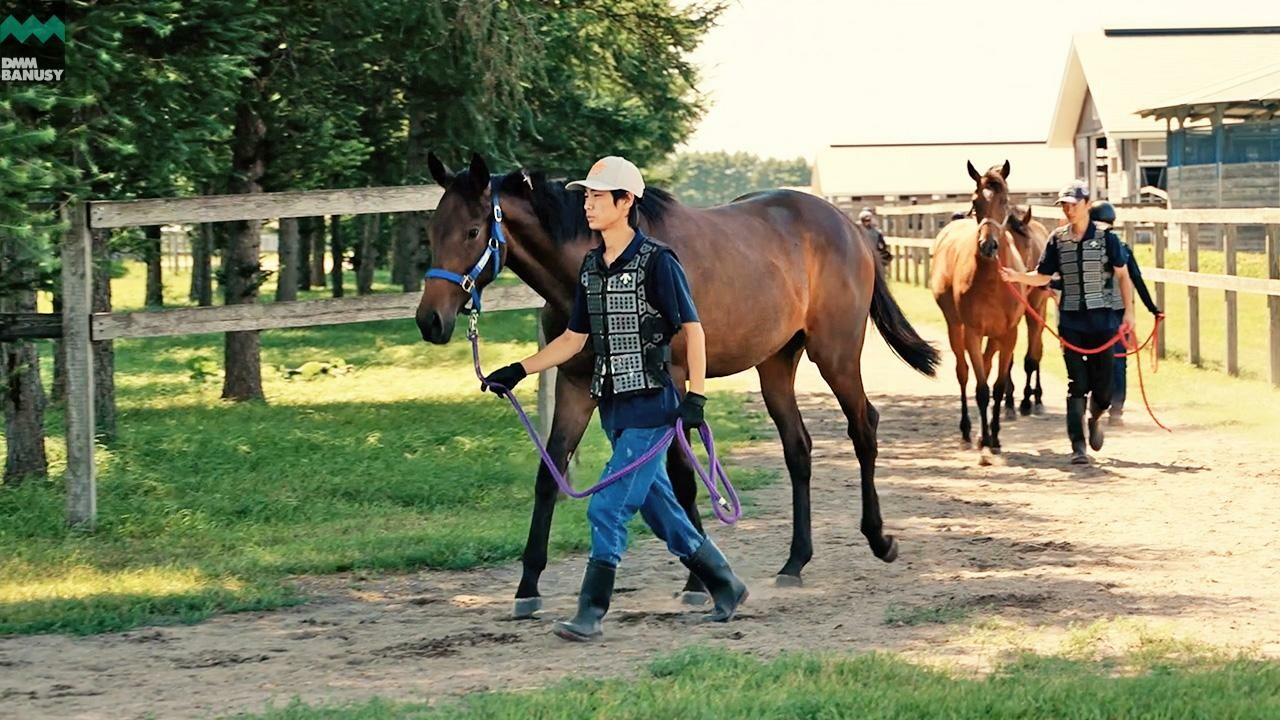 カールファターレ2024 PV2025