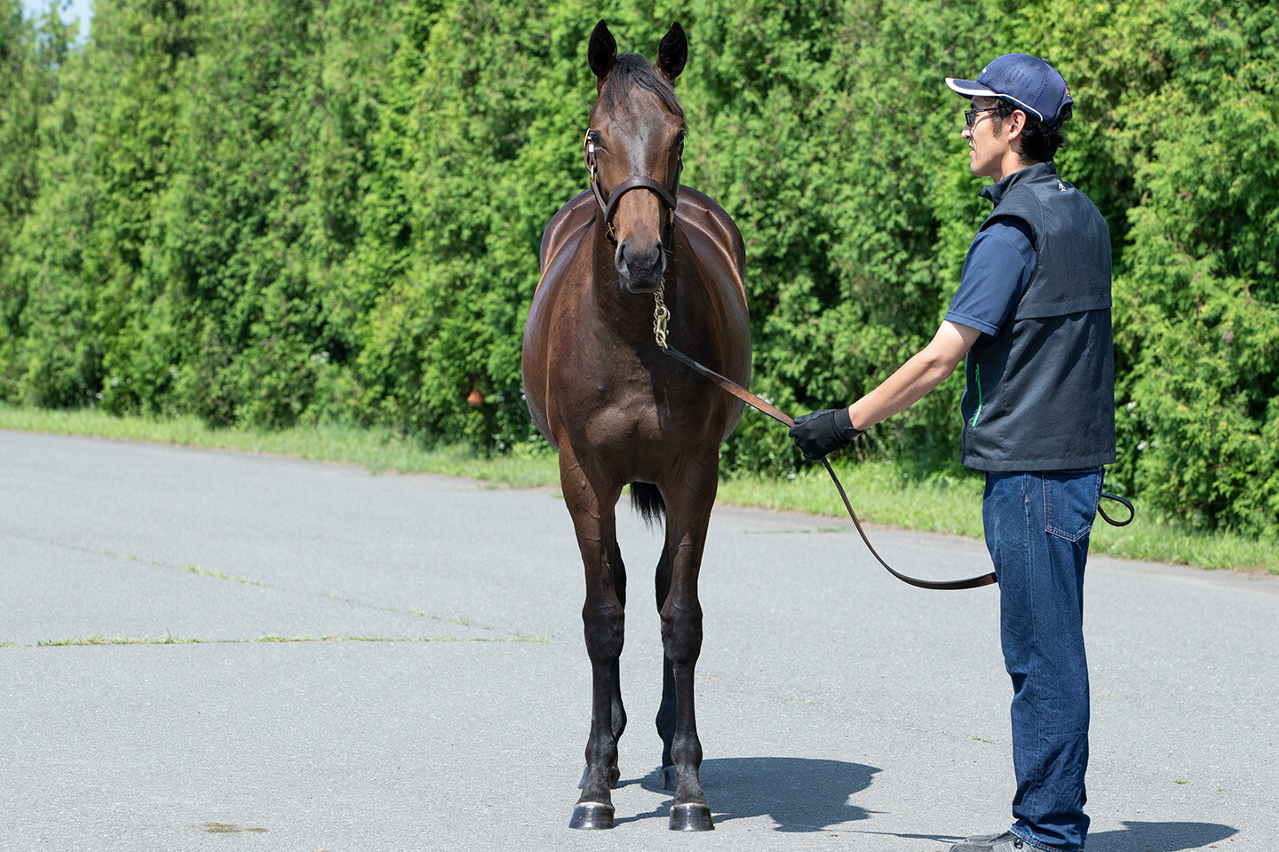 カールファターレ2024 馬体フォト 2025/07/23