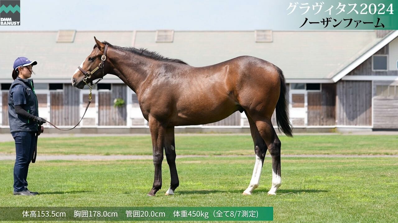 グラヴィタス2024 2025/7/21撮影