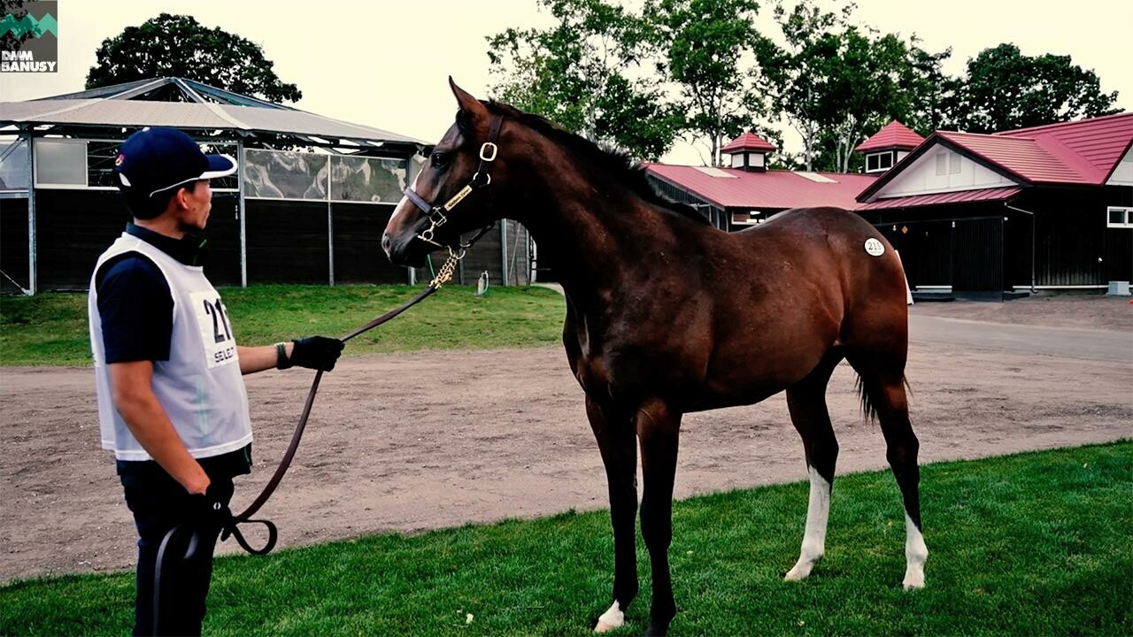 グラヴィタス2024 PV2025