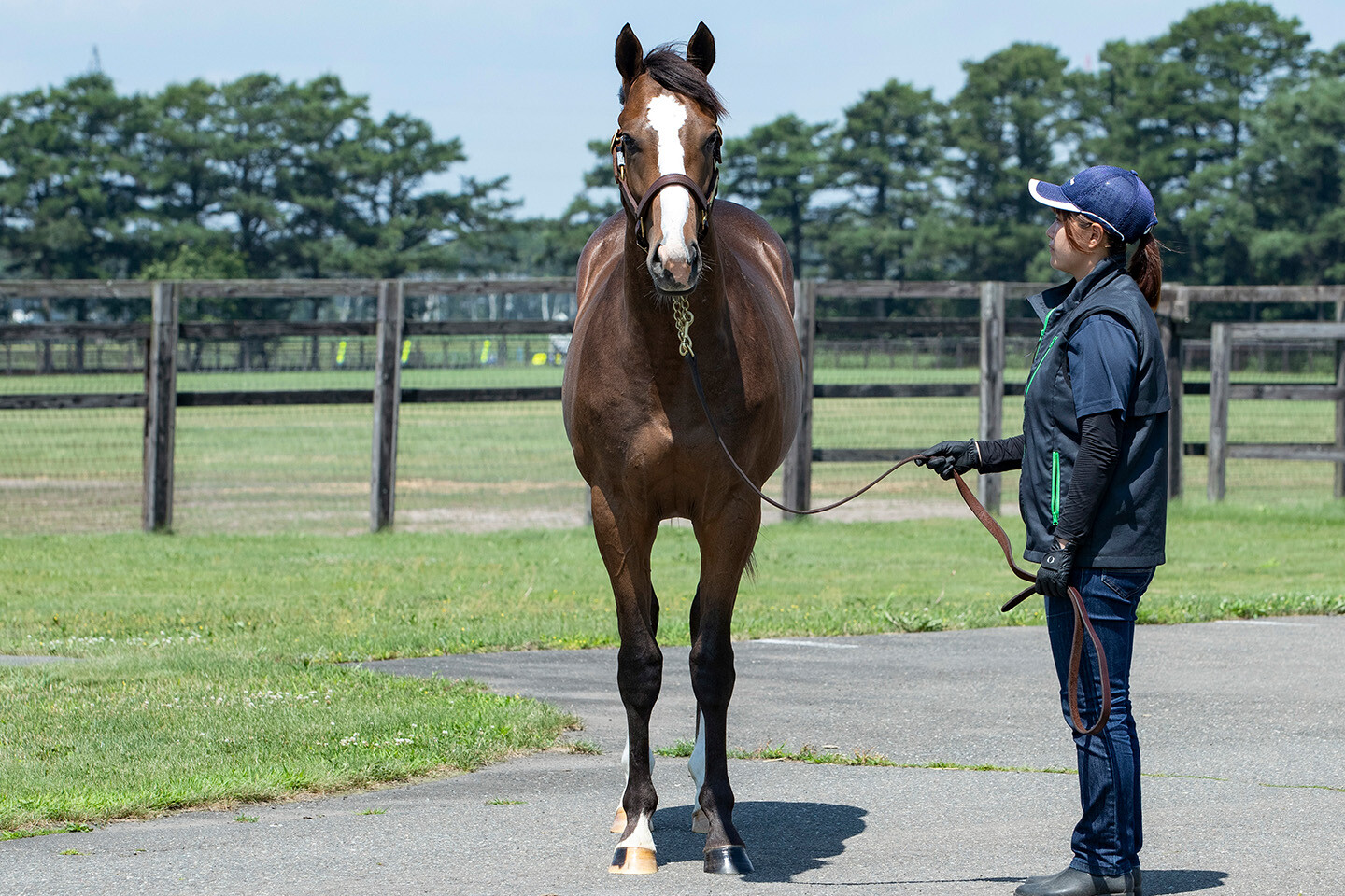 グラヴィタス2024 馬体フォト 2025/07/23