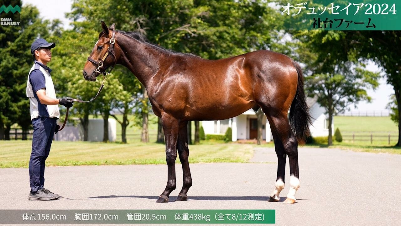 オデュッセイア2024 2025/7/22撮影