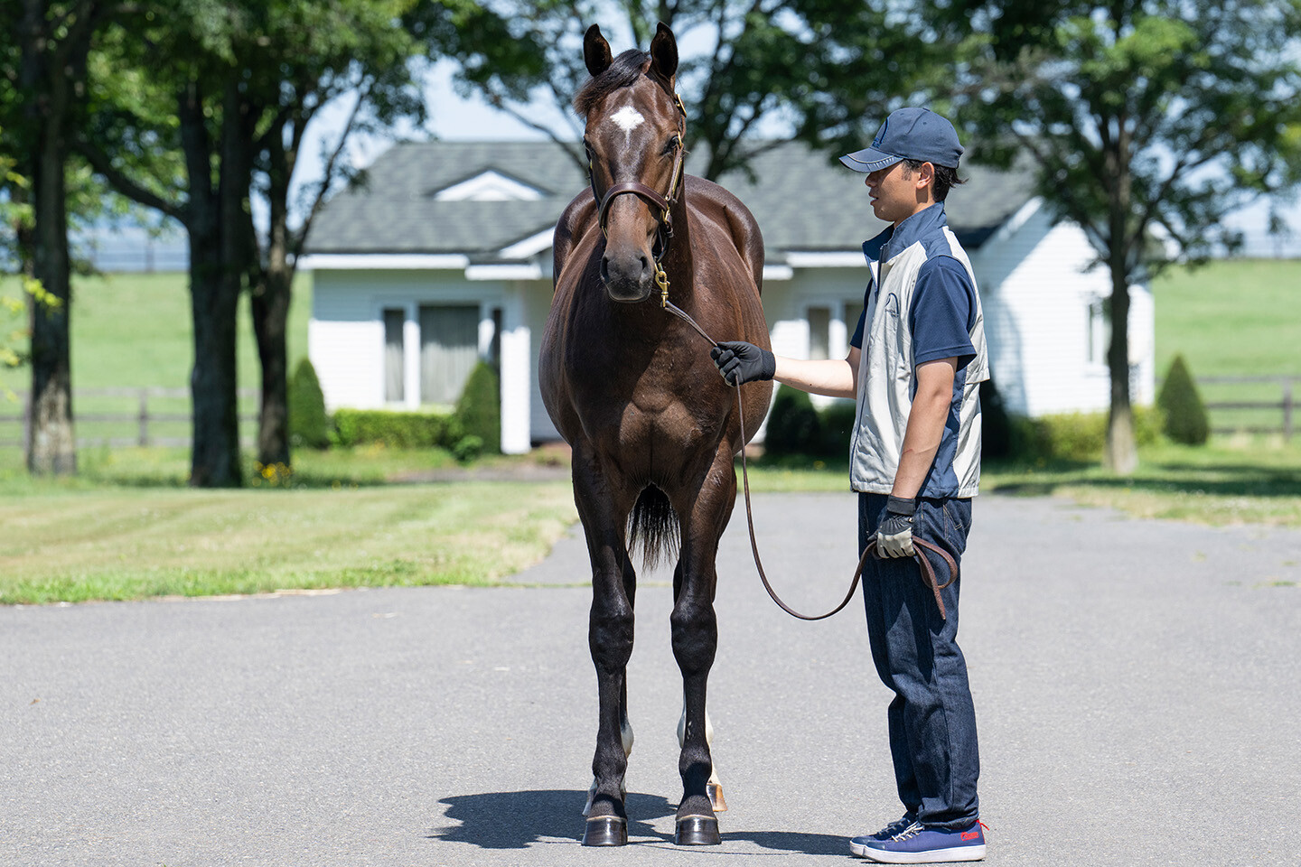 オデュッセイア2024 馬体フォト 2025/07/23