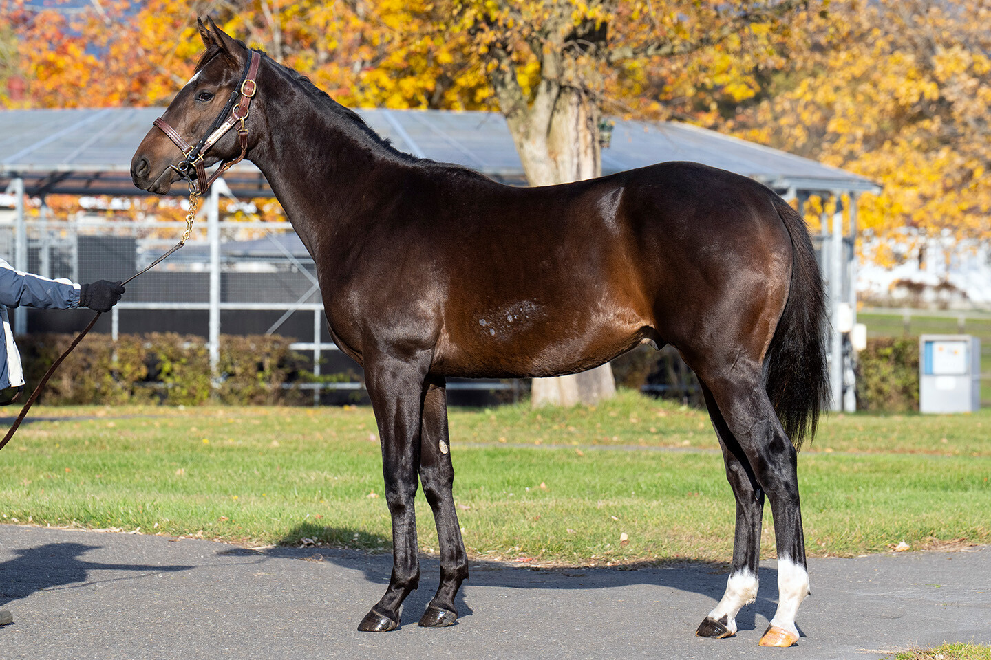 オデュッセイア2024 写真