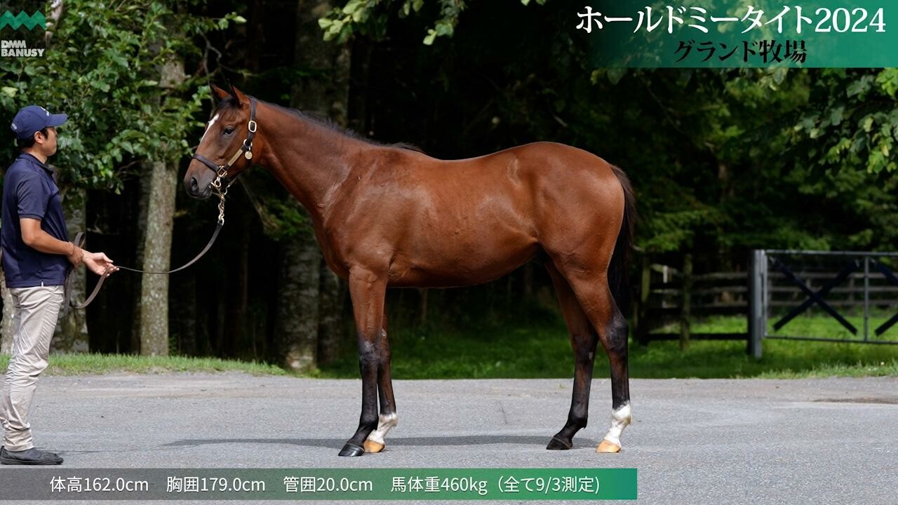 ホールドミータイト2024 2025/8/25撮影