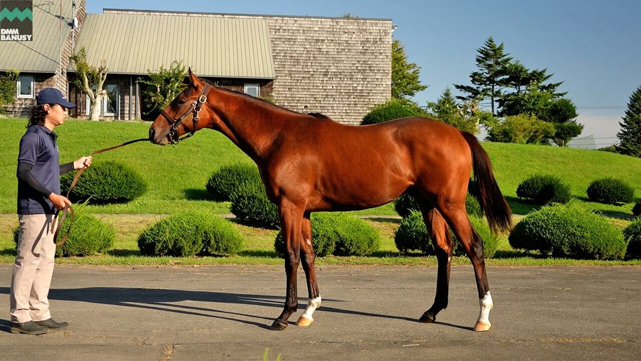 ホールドミータイト2024 2025/9/8撮影：ファンタストクラブ・グランド牧場現地視察