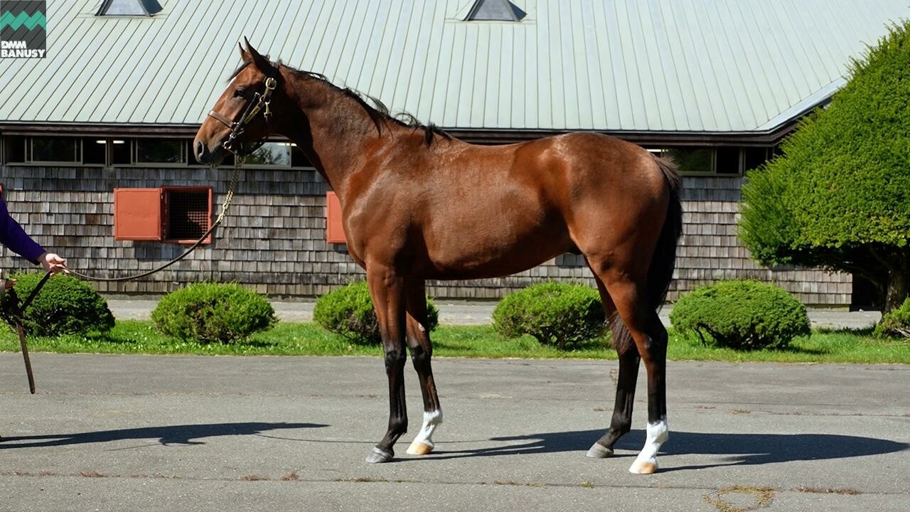 ホールドミータイト2024 2025/10/6撮影：ファンタストクラブ・グランド牧場現地視察