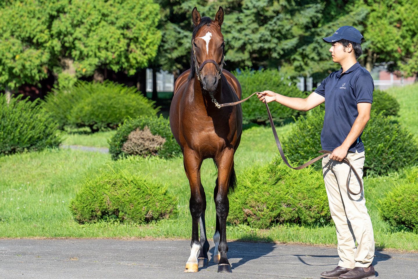 ホールドミータイト2024 馬体フォト 2025/09/03