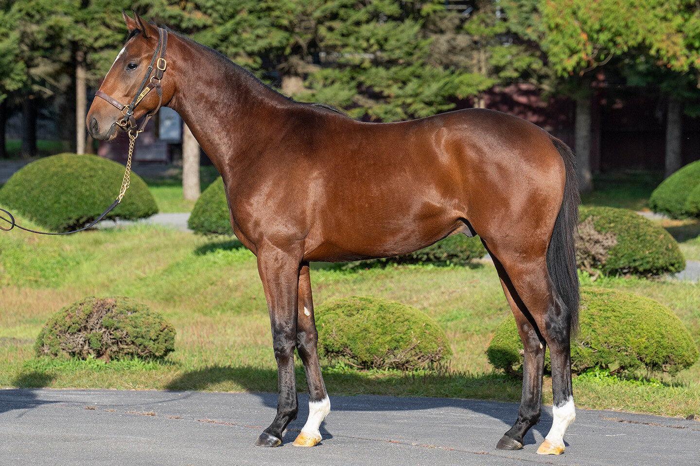 ホールドミータイト2024 写真