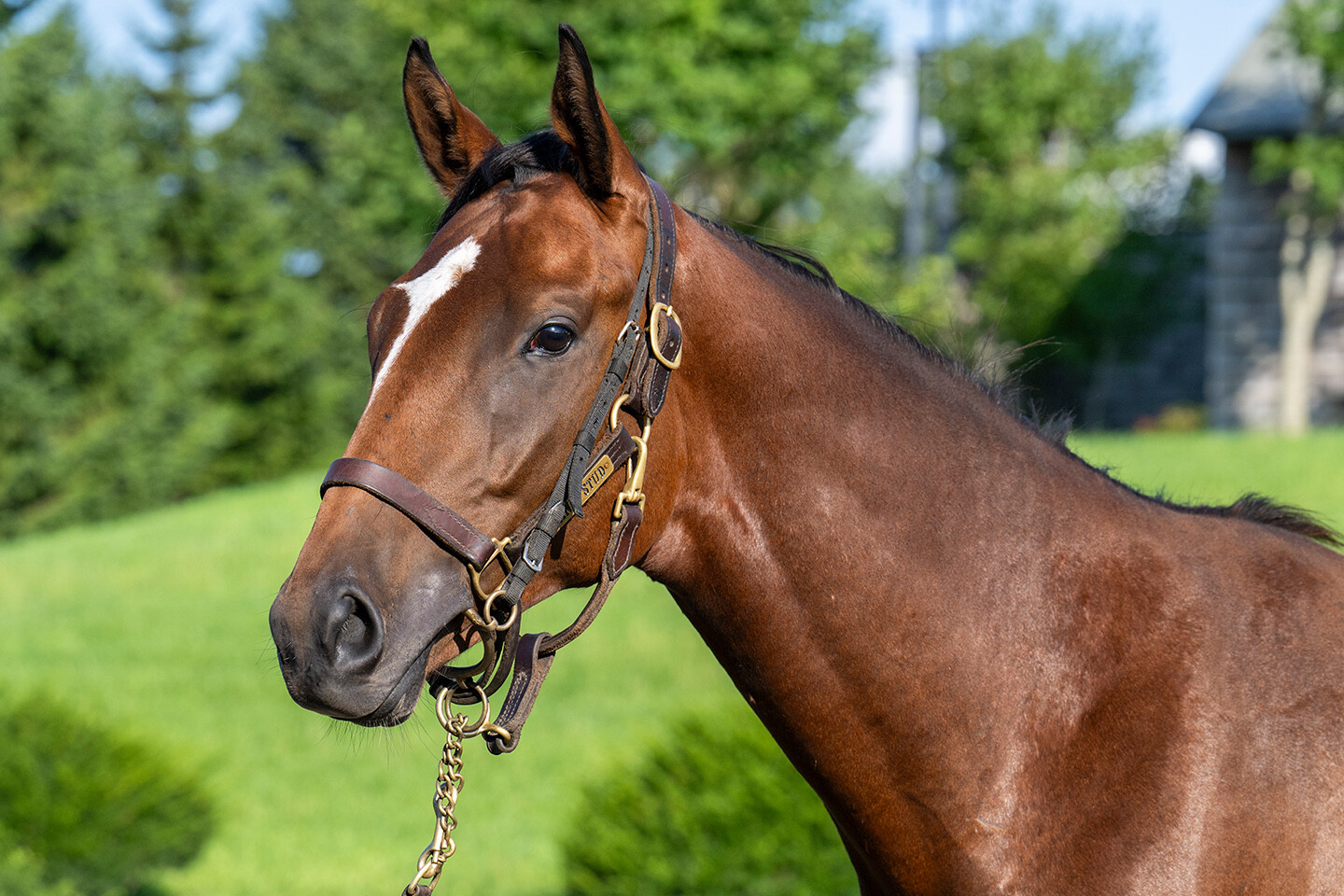 ホールドミータイト2024 馬体フォト 2025/09/03