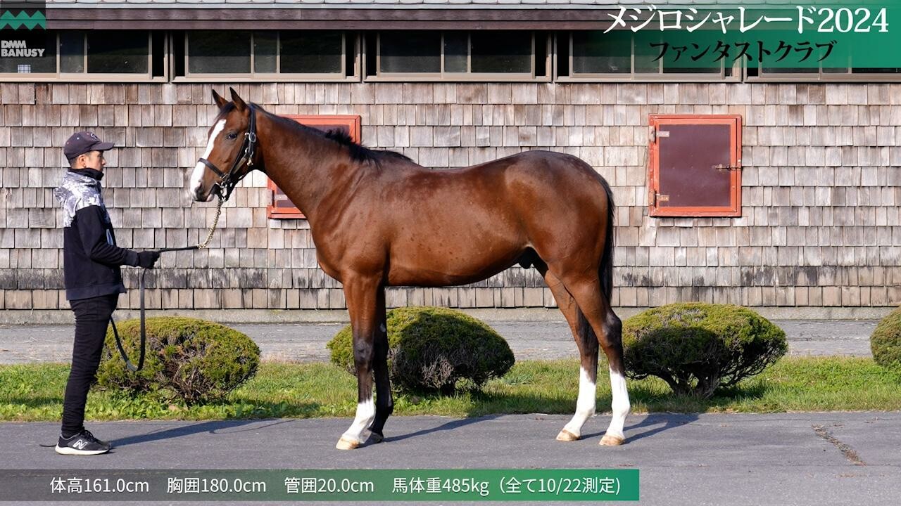 メジロシャレード2024 2025/10/29撮影