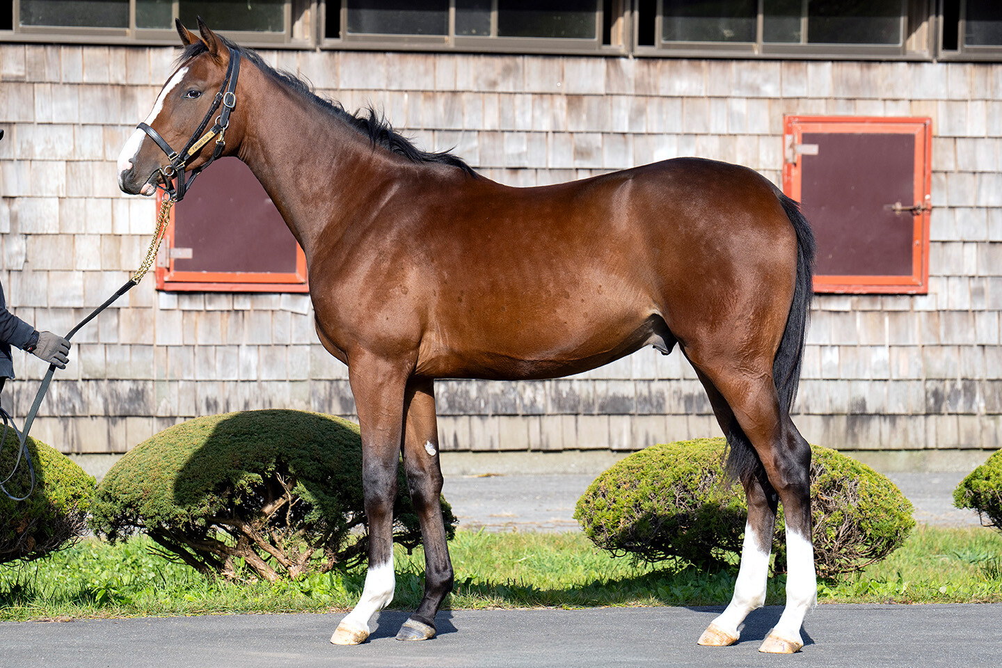 メジロシャレード2024 写真