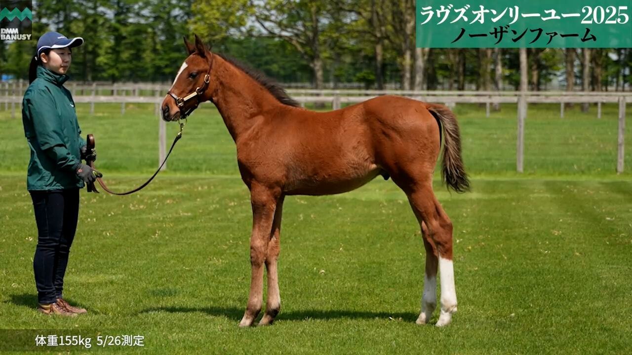 ラヴズオンリーユー2025 2025/5/27撮影
