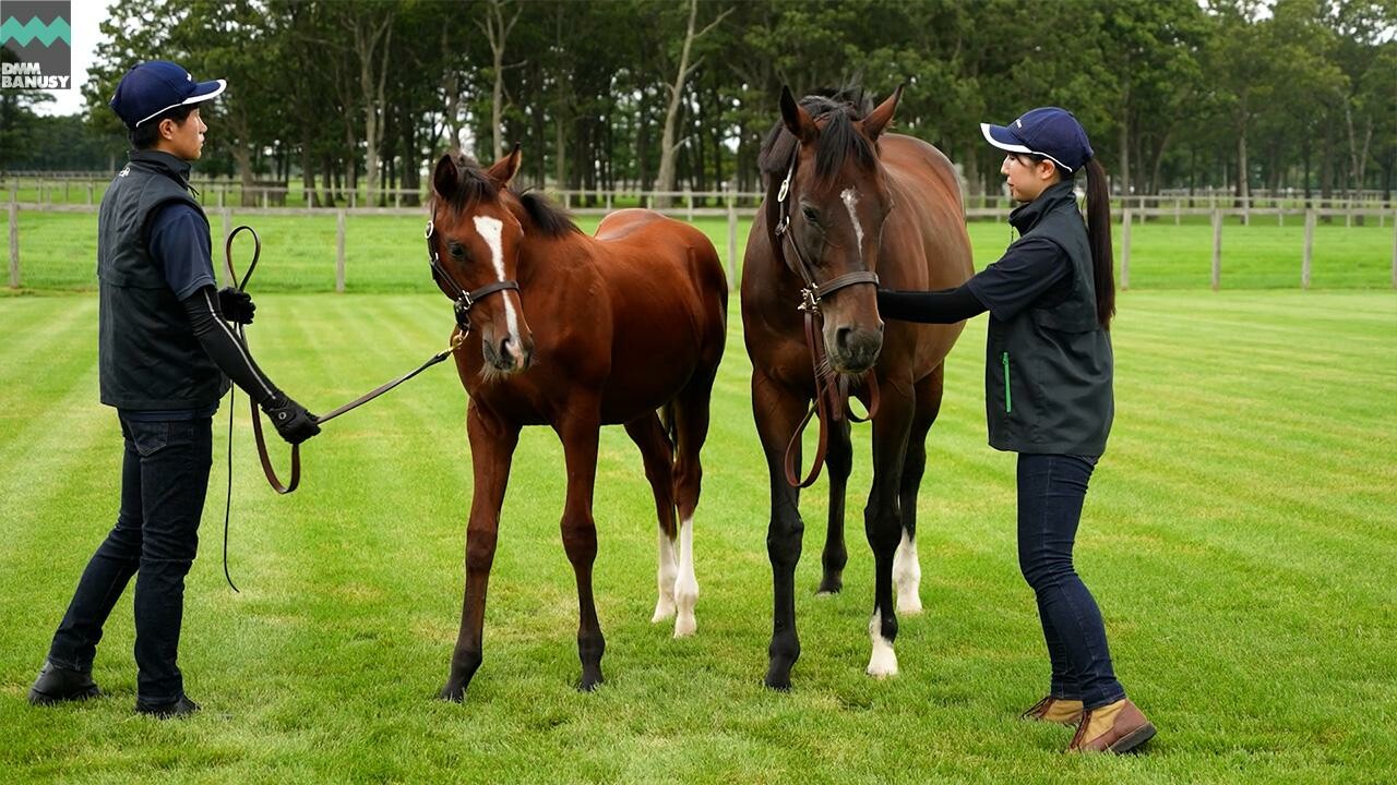 ラヴズオンリーユー2025 2025/9/9撮影：ノーザンファーム現地視察