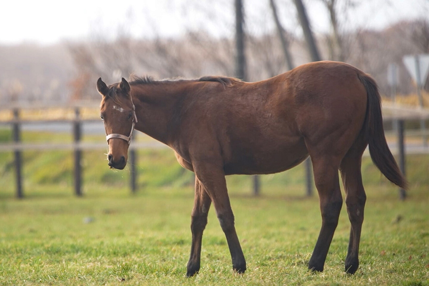 シャンパンルーム2025 写真