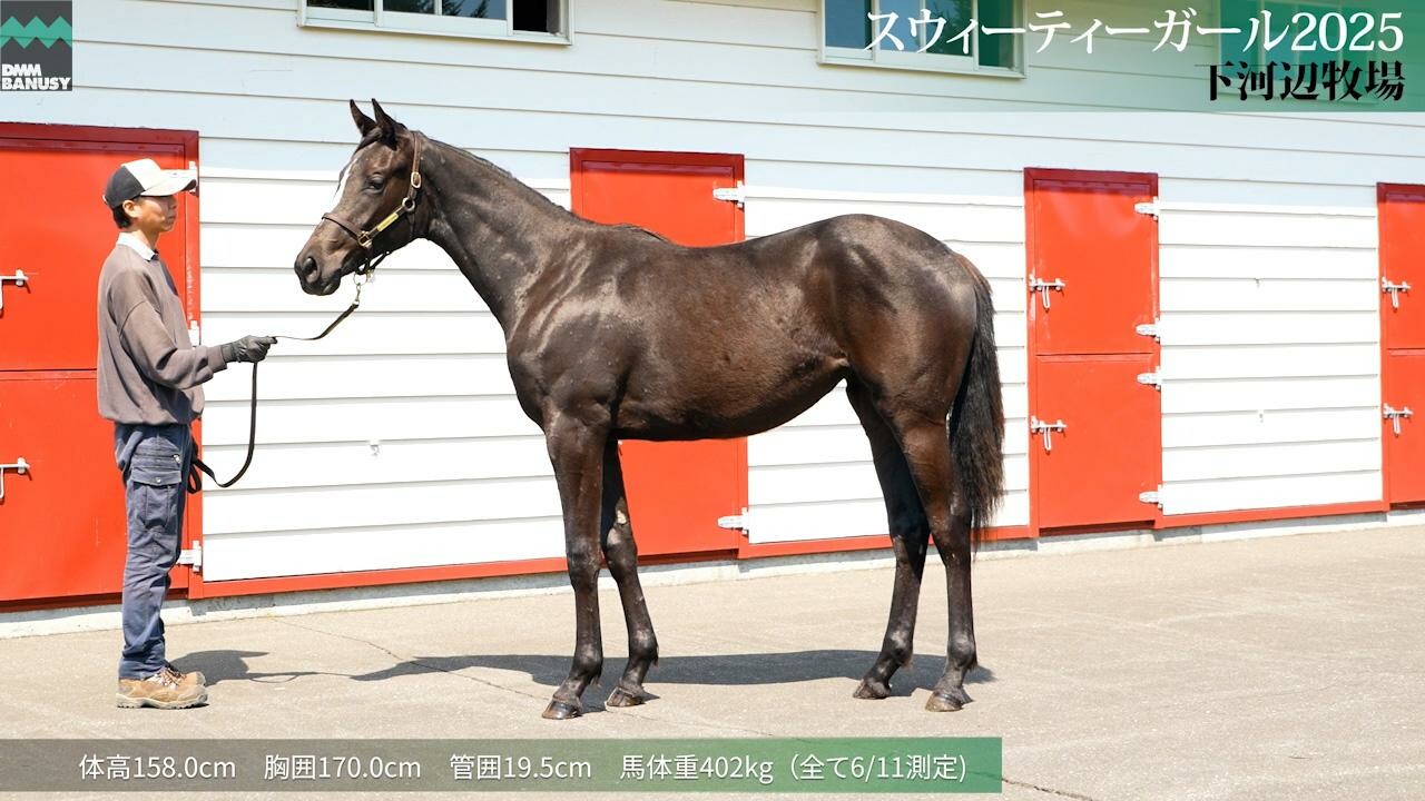 スウィーティーガール2025 2026/5/13撮影