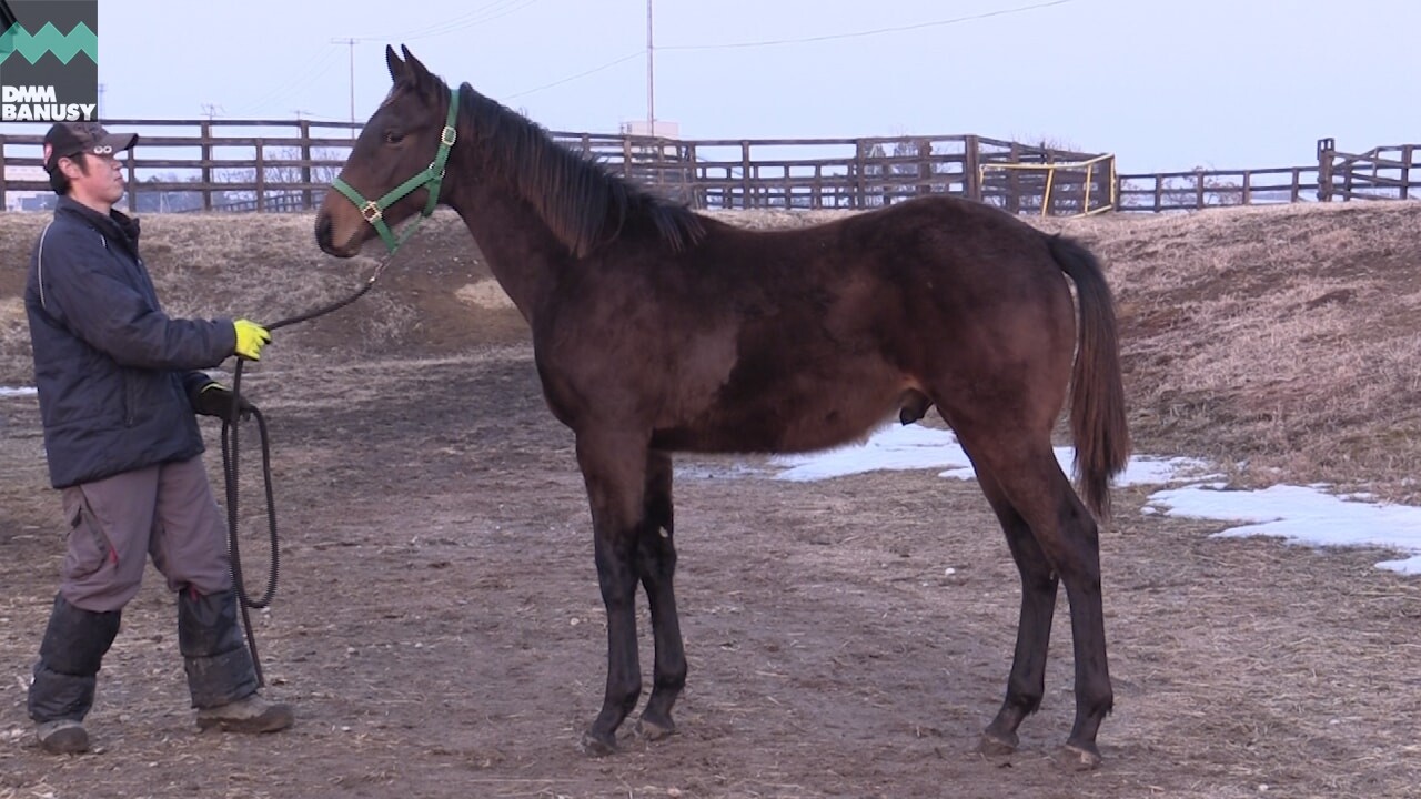 ネクサスハート 2019/2/28撮影:スタッフ 岩倉さんインタビュー付