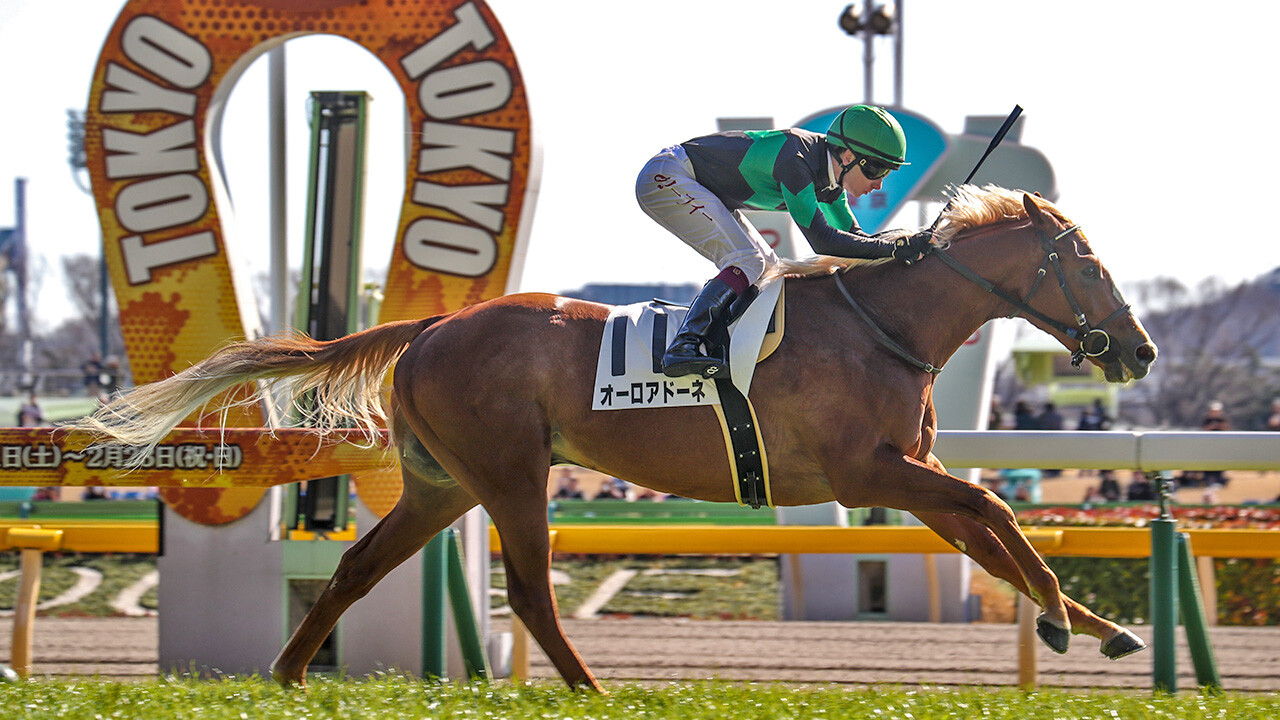 オーロアドーネ 写真