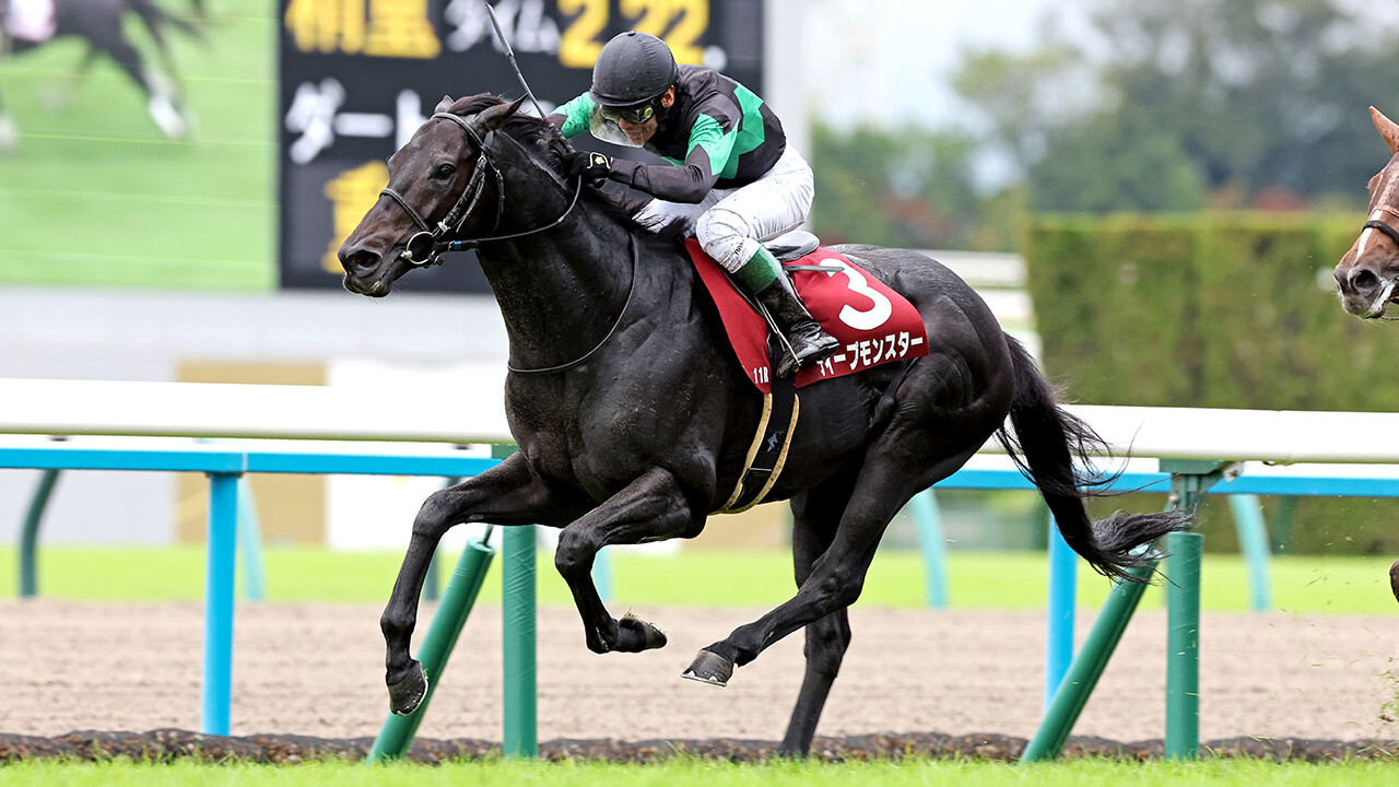 ディープモンスター 写真