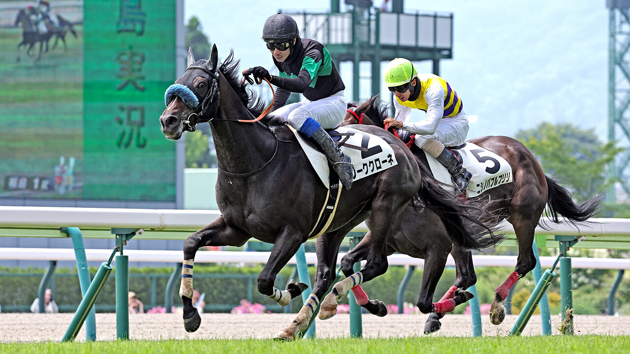 ジーククローネ 写真