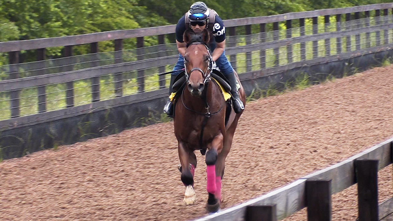 シュリット 写真