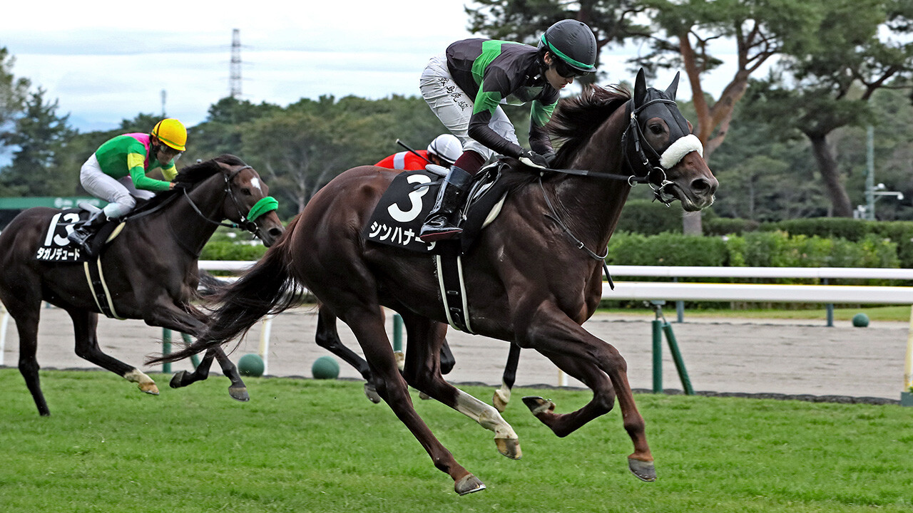 シンハナーダ 写真