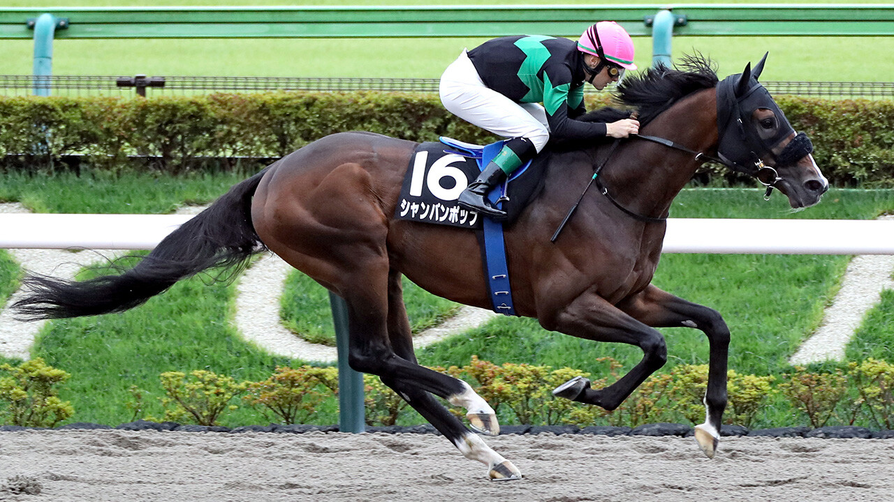 シャンパンポップ 写真