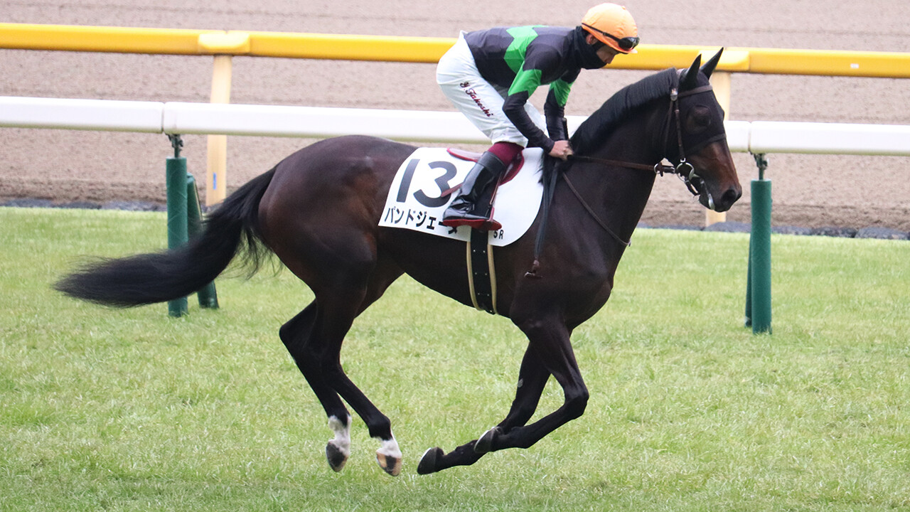 パンドジェーヌ 写真