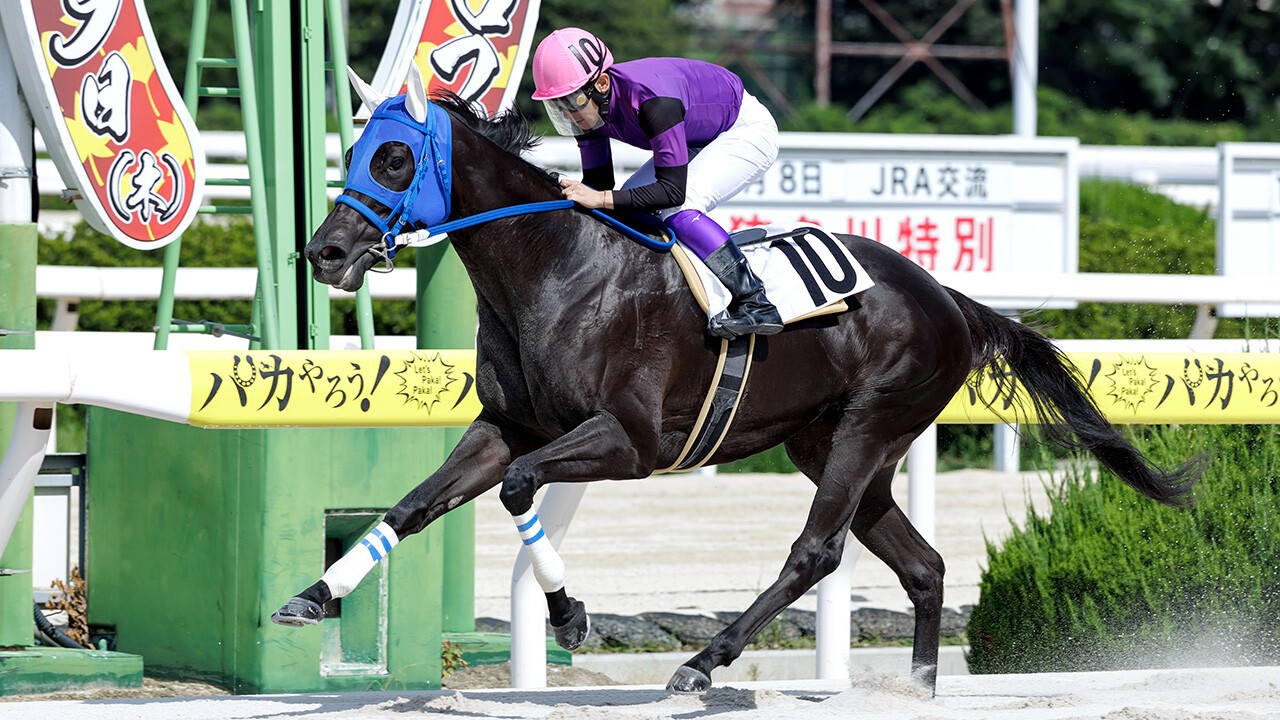 オブシディアーナ 写真