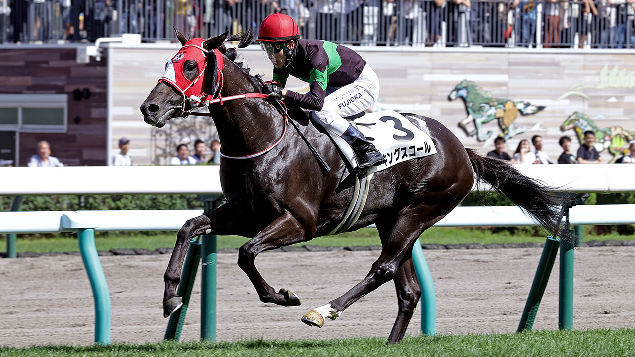 キングスコール 写真