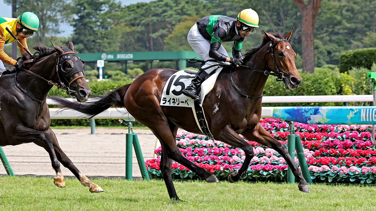 ライネリーベ 写真