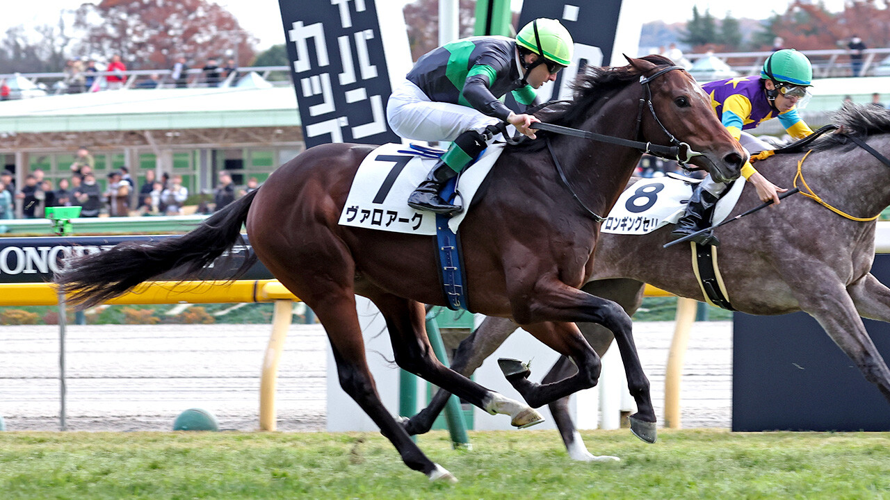 ヴァロアーク 写真