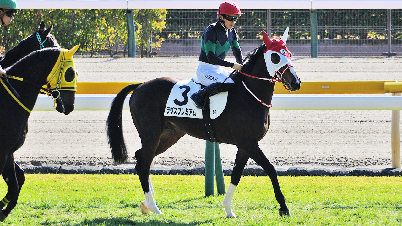 ラヴズプレミアム 写真
