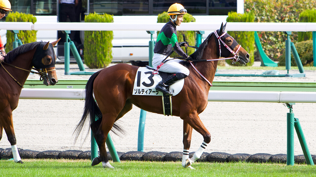 ソルティアーラ 写真