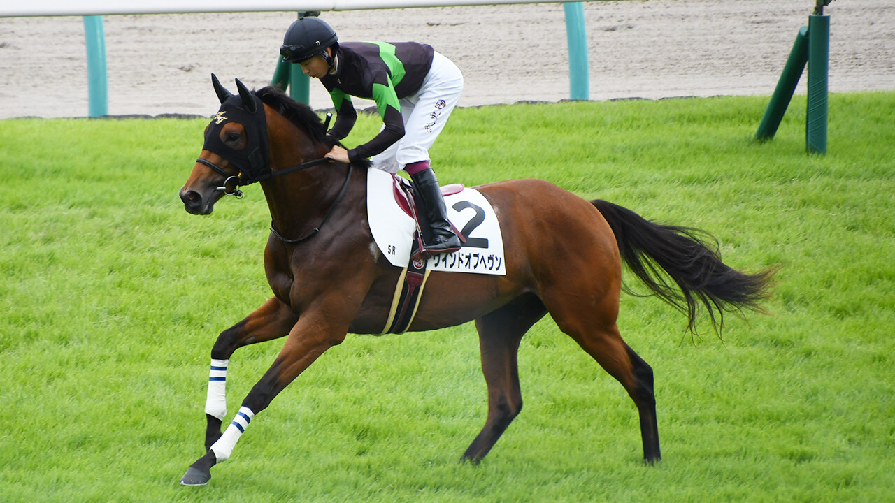 ウインドオブヘヴン 写真