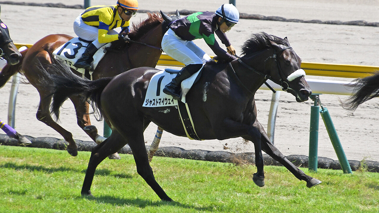 ジャストマイウェイ 写真