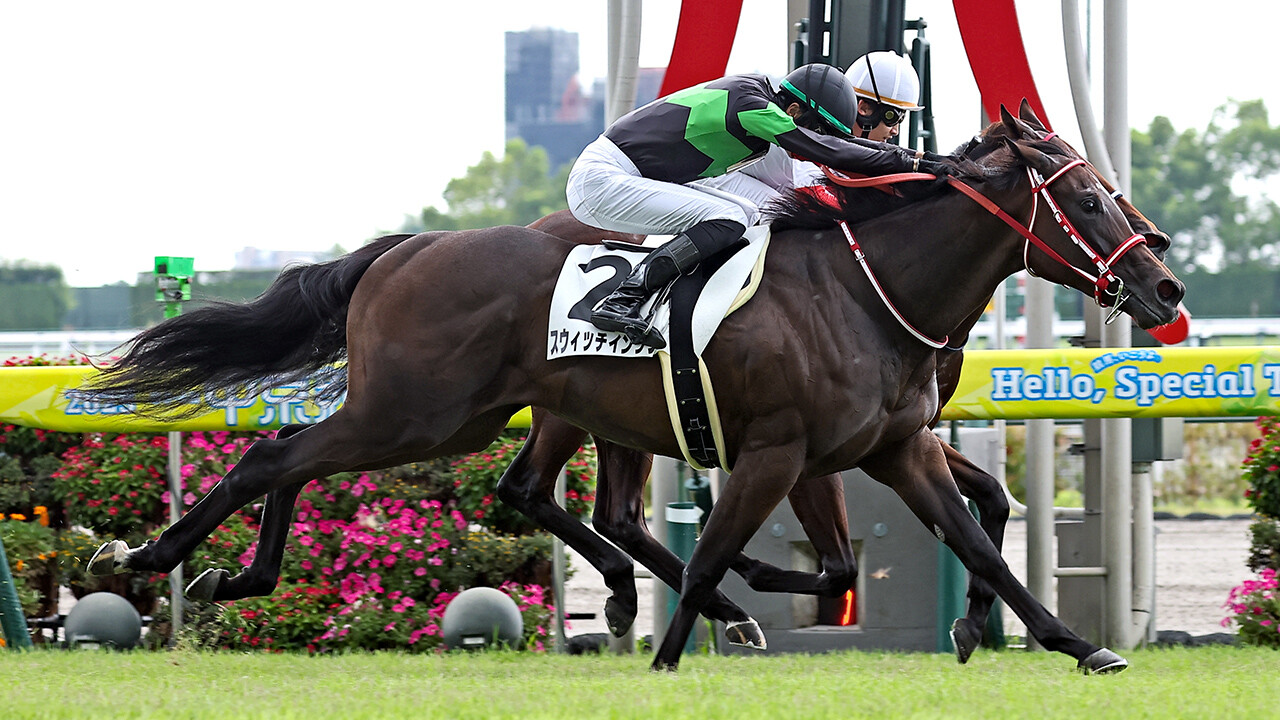 スウィッチインラヴ 写真